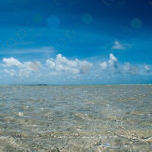 Crystal clear waters during low tide 4