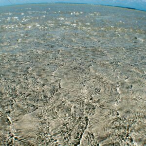Crystal clear waters during low tide 5