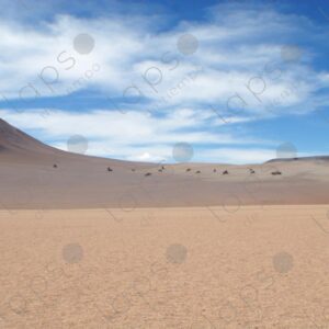 Dali Desert in the Bolivian Altiplano