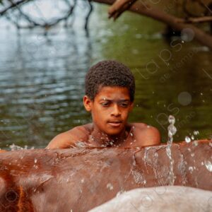 Boys bathing with horses in the river
