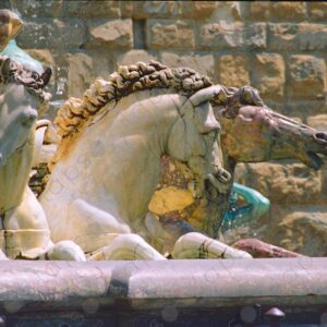 Detail of horses, Fountain of Neptune, Florence, Italy