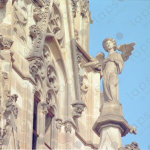 Detail of the angel of the Barcelona Cathedral