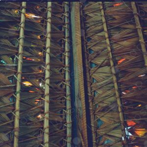 Detail of the palm roof