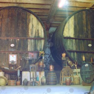 Family wineries, Region of Provence