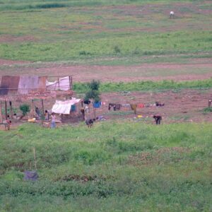 Farmers work remotely
