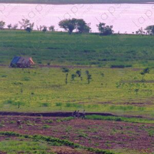 Fields in the distance 2