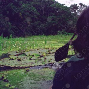 Giant lotus seen from a canoe 1