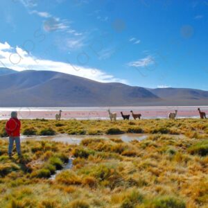 Girl in a fuchsia jacket looks at the Red Lagoon