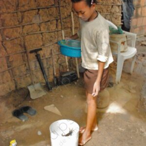 Girl looks at crabs inside the bucket