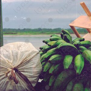 Green bananas on the boat