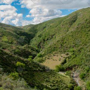 Green hillsides Sucre 1