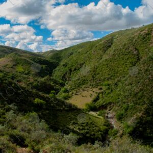 Green hillsides,