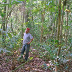 Guide in the middle of the jungle