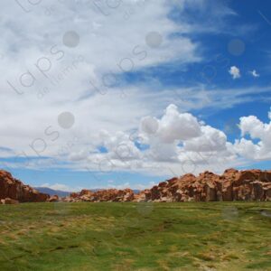 Highland Landscape with Rocks and Grass 1