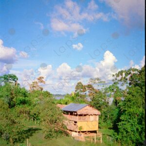 House in Sinchicuy