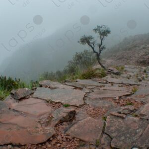 Inca Trail