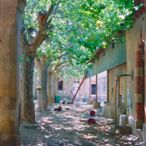 Interior courtyard of a rural house, Region of Provence