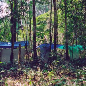 Jungle camp with mosquito nets