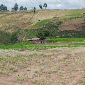 Landscape Mud House Among Green Hills 1