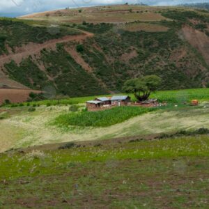 Landscape Mud House Among Green Hills 2