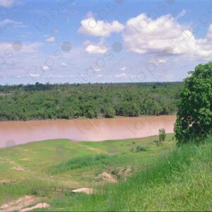 Landscape of an Amazonian river 1