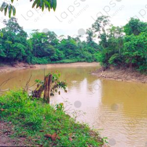 Landscape of an Amazonian river 2