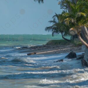 Landscape with a turbulent sea