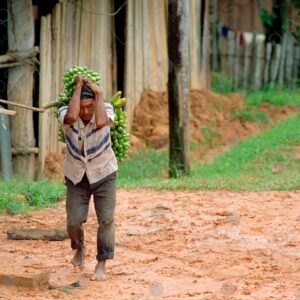 Man carrying bananas 2