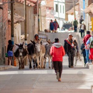 Men with donkeys on the streets of Tarabuco 2