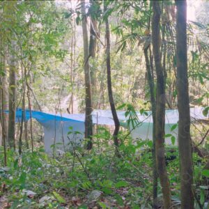 Mosquito nets and hammocks installed in the jungle 2