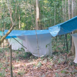 Mosquito nets with hammocks inside the jungle 4
