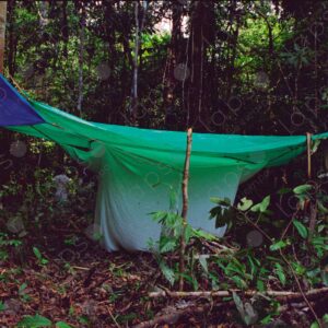 Mosquito nets with hammocks inside the jungle 7