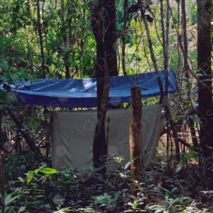 Mosquito nets with hammocks inside the jungle 8