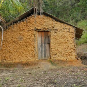 Mud house with palm tree 2