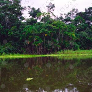 Oje Lake, Santa Rosa 1