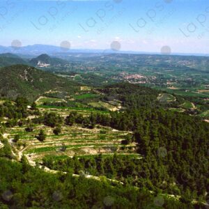 Panoramic valley near Dentelles de Montmirail 7