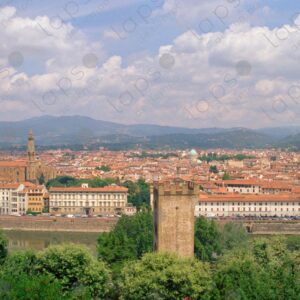 Panoramic view of Florence city 1