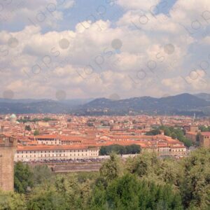 Panoramic view of Florence city 3