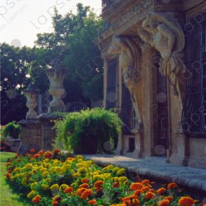 Pavillon Vendôme in Aix-en-Provence, garden flowers 2