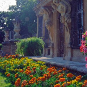 Pavillon Vendôme in Aix-en-Provence, garden flowers 3