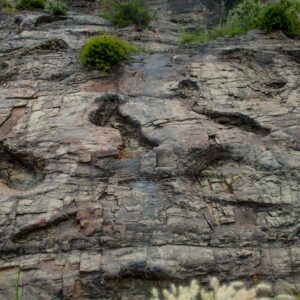 Petrified spheres in Serrania de Santa Ana Sucre Bolivia 2