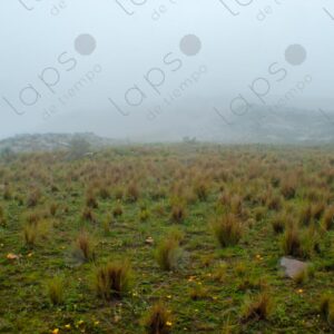 Landscape with Fog