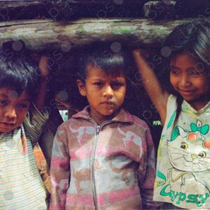 Portrait of Three Boys 2