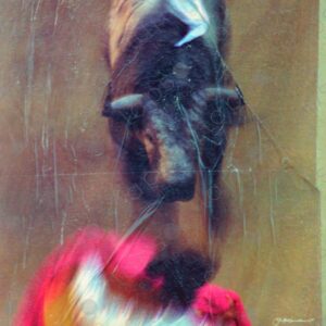 Poster for the San Fermín Bullfighting Fair