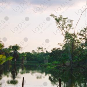 Quistococha Lagoon