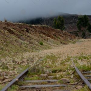Railroad Lines Lost Among the Grass 1