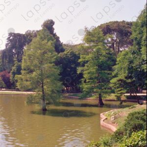 Retiro Park Lagoon, Madrid