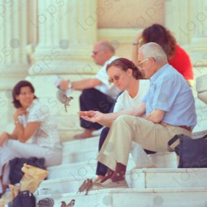 Retiro Park, birds fed by people 2