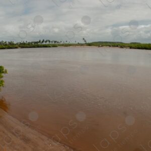 River landscape, brown color