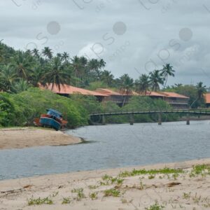 River landscape with bridge and hill with palm trees 2